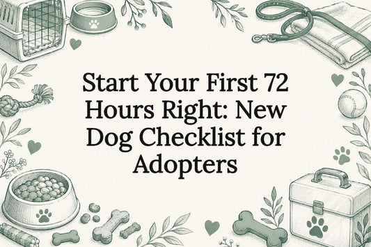 Decorative new dog checklist title card