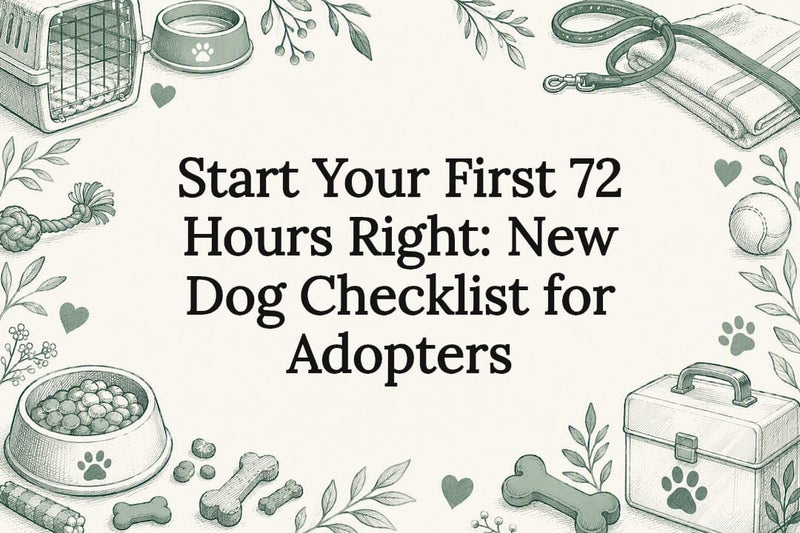 Decorative new dog checklist title card