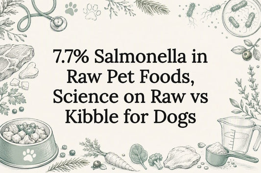 Decorative raw versus kibble title card