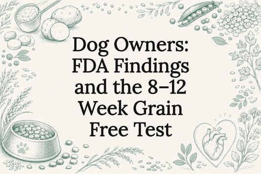 Grain-free dog nutrition title card