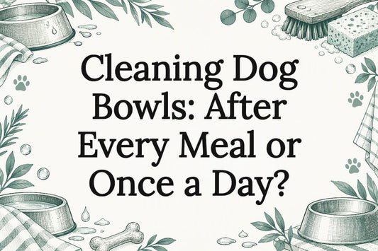 Illustrated dog bowl cleaning title card