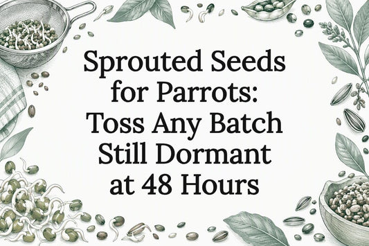 Hand-drawn seed and sprout title card
