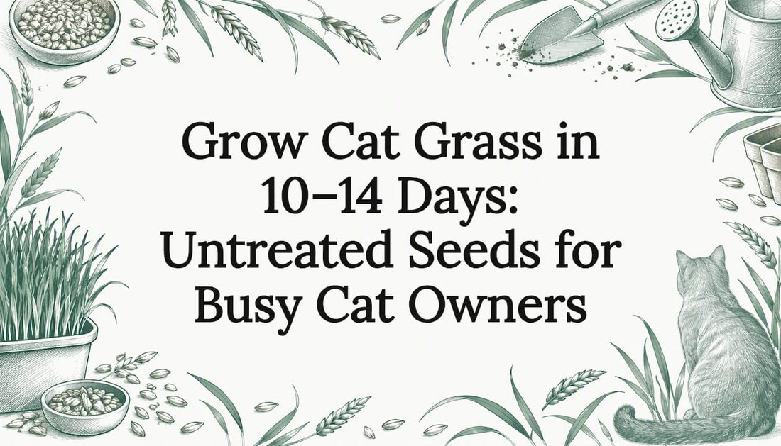 Cat grass sketch framing a clear title area