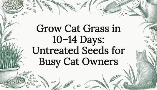 Cat grass sketch framing a clear title area