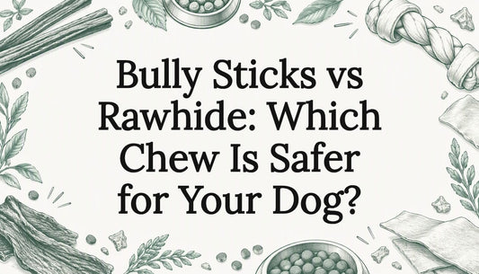 Decorative dog chew sketches frame the title