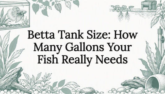 Hand-drawn aquarium details frame the title