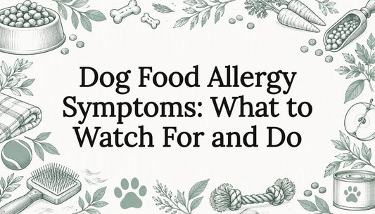 Pencil sketch title card with dog-care motifs