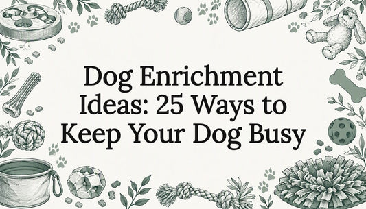 Sketches of dog enrichment toys frame title