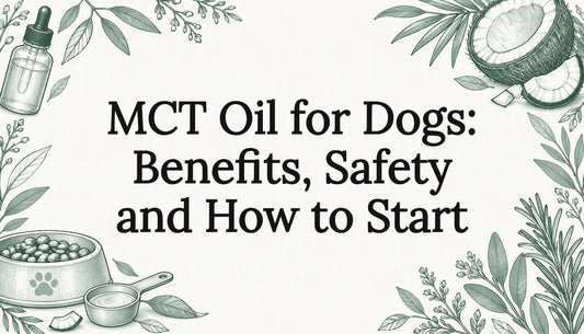 Hand-drawn dog wellness title-card illustration