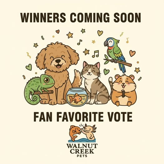 Photo Contest Entries - Vote for Your Favorite!