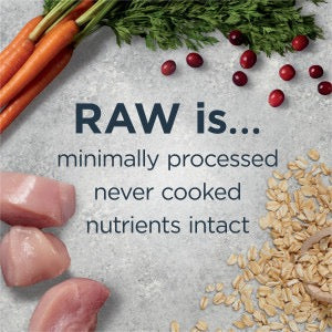 Is Raw Right for Your Dog? Busting the Myths Around Raw Diets
