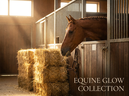 Horse Hay & Forage