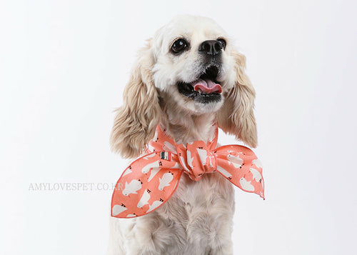 Dog wearing colorful hoodie and bandana showcasing dog clothing and costumes collection