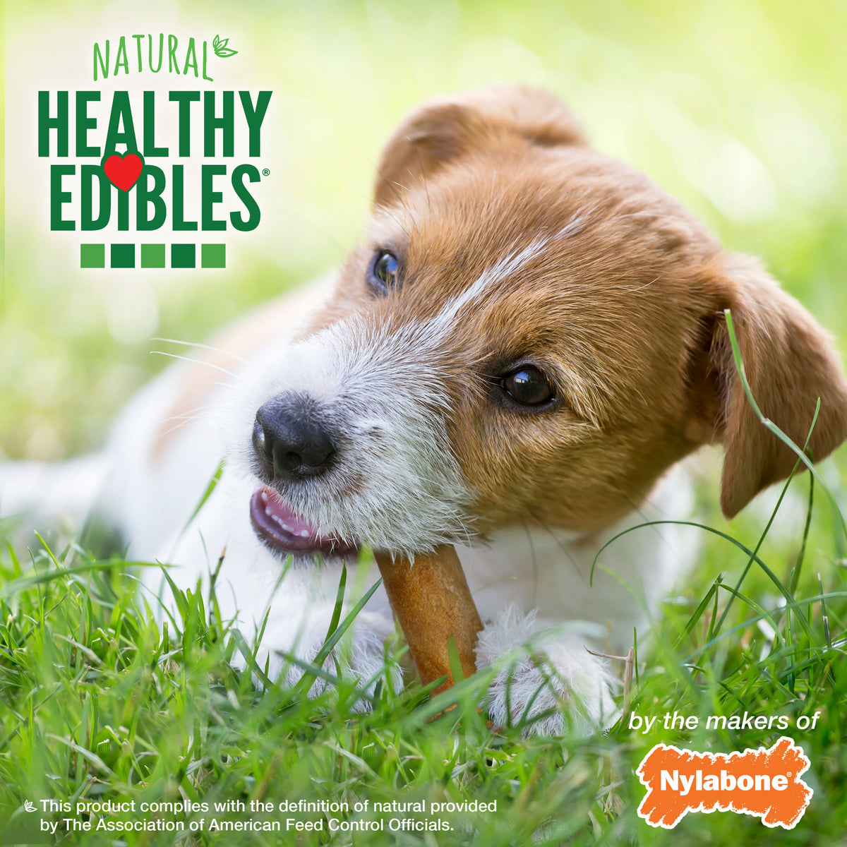Nylabone Healthy Edibles AllNatural Long Lasting Roast Beef and Chicken Dog Chew Treats Variety, SMall/Regular  Up To 25 Ibs. 12 ct