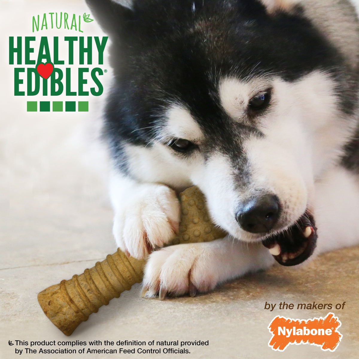 Nylabone Healthy Edibles AllNatural Long Lasting Peanut Butter Dog Chew Treats 1 Count, Peanut Butter, XL/Souper  50 Lbs. 1 ct
