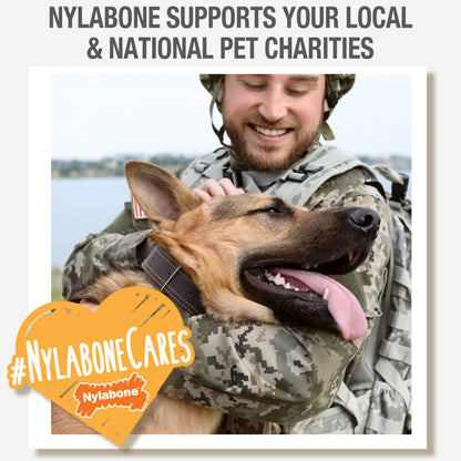 Nylabone Healthy Edibles Farm Friends Grain Free Dog Treats Beef, Chicken, Bacon, & Lamb 1ea/Large - Up To 50 lb