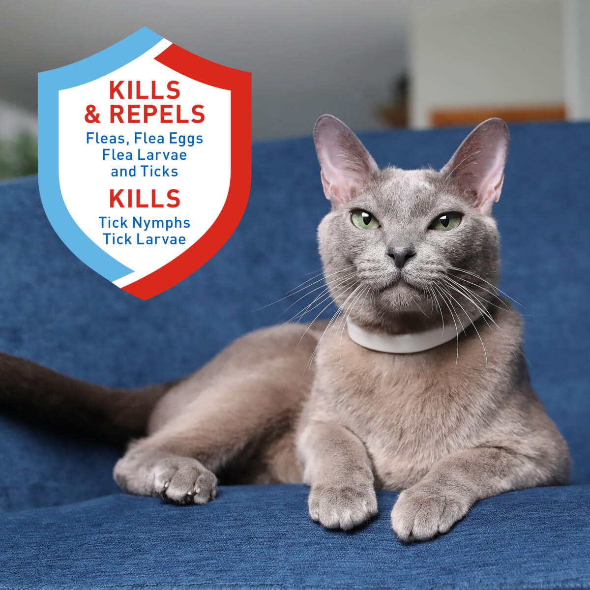 Adams Plus Flea & Tick Collar for Cats & Kittens