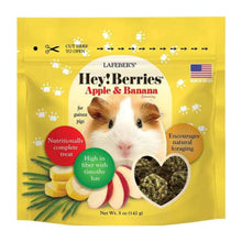 Lafeber Company Hey! Berries Guinea Pig Food Apple & Banana 1ea/5oz.