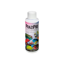 Aquarium Solutions Prazipro Liquid Treatment 1ea/4 fl oz