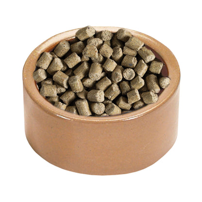 Kaytee Stoneware Pet Bowl 1ea/5in.