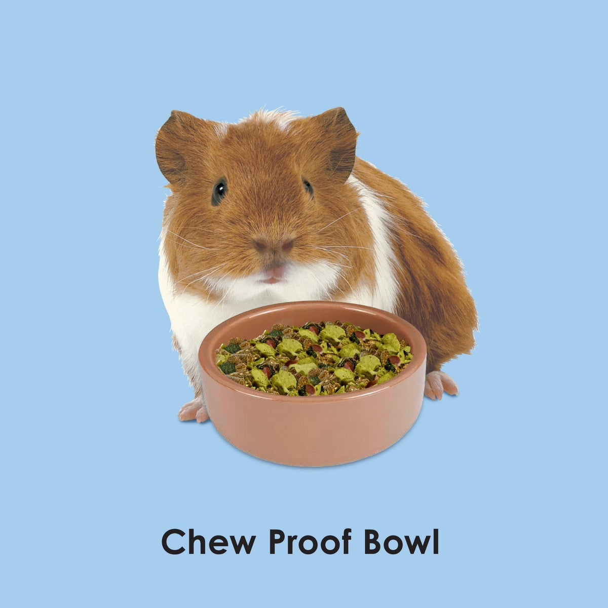 Kaytee Stoneware Pet Bowl 1ea/5in.
