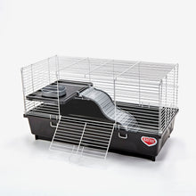 Kaytee My First Home Habitat Pet Rat 1ea/24 X 12