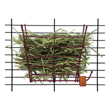 Kaytee Hay Manger Feeder With Salt Hanger Assorted 1ea/4in. X 8in. X 7.25in.
