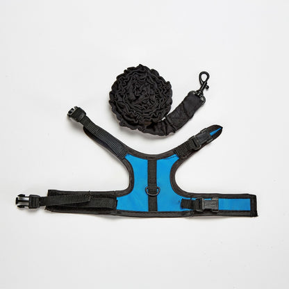 Kaytee Comfort Harness & Stretchy Leash Assorted 1ea/Small
