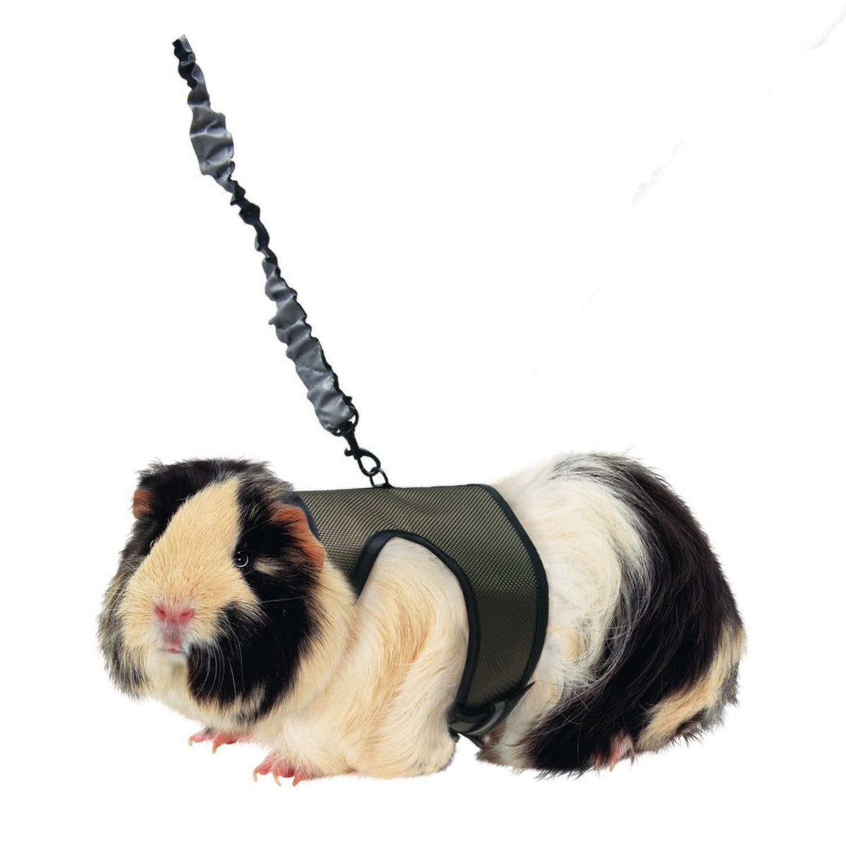 Kaytee Comfort Harness & Stretchy Leash Assorted 1ea/Large