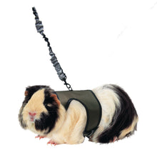 Kaytee Comfort Harness & Stretchy Leash Assorted 1ea/Large