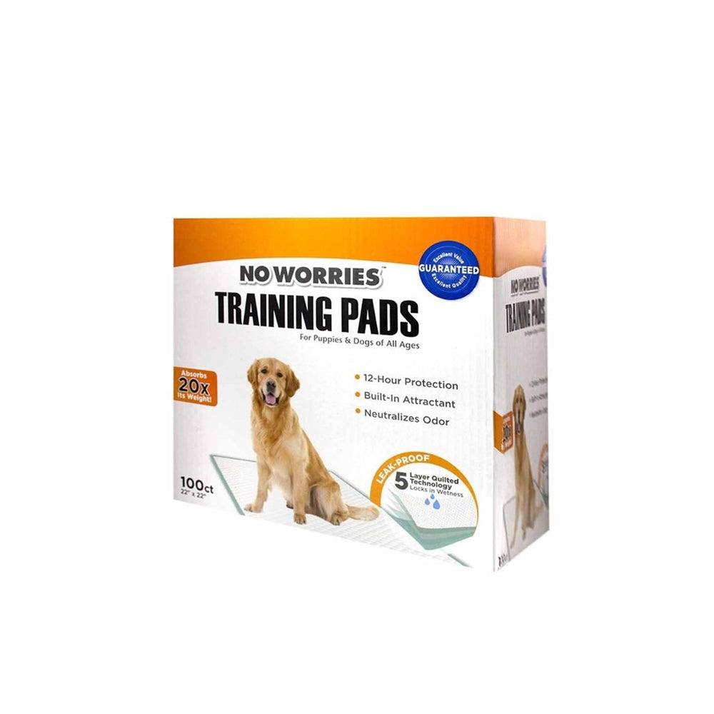 No Worries Training Pads Box 22x22 100 ct