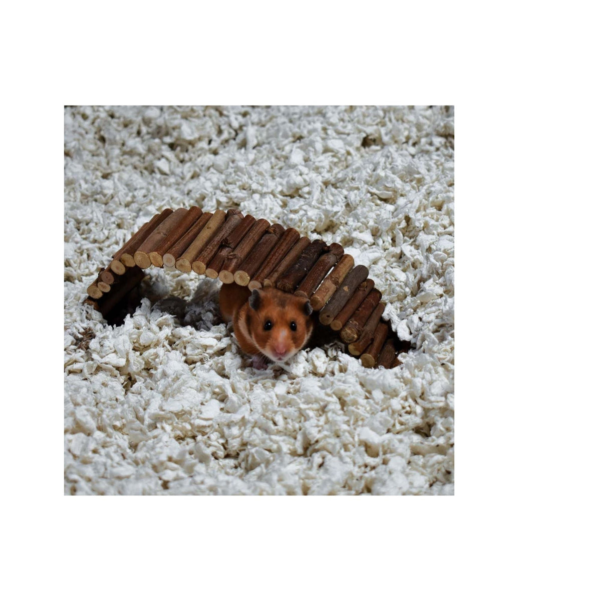 CareFRESH Complete Comfort Small Pet Bedding White 1ea/10 l