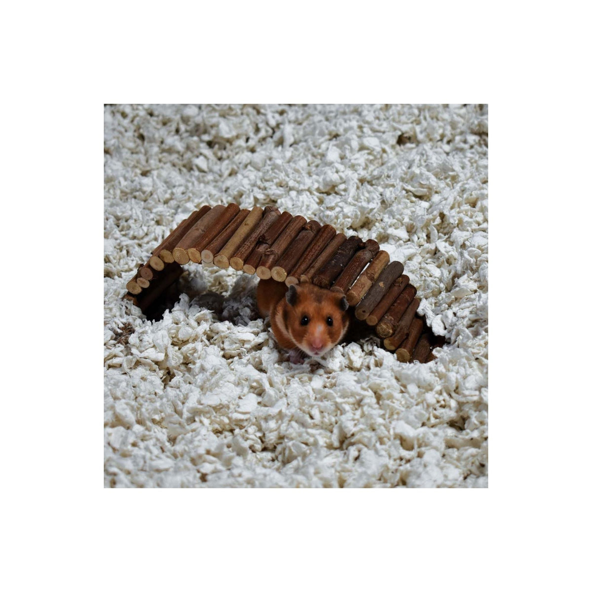 CareFRESH Complete Comfort Small Pet Bedding White 1ea/50 l