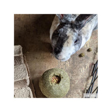 Kaytee Premium Timothy Roll'n'Toss Treat 1ea