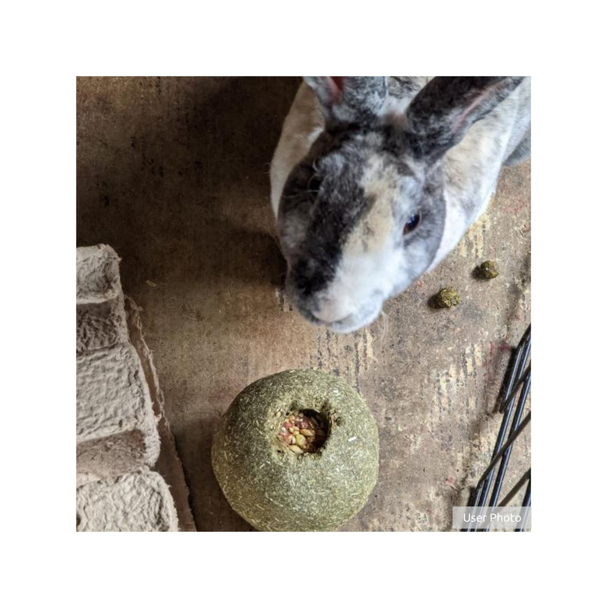 Kaytee Premium Timothy Roll'n'Toss Treat 1ea