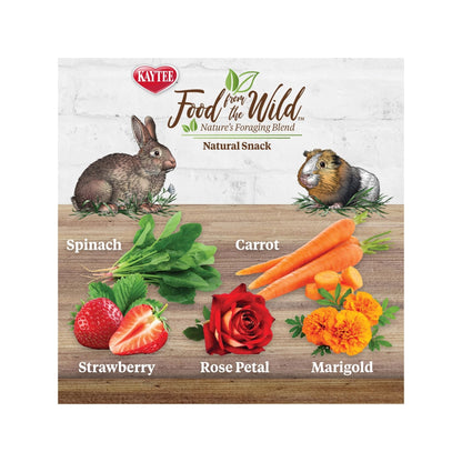 Kaytee Food From the Wild Natural Snack Rabbit and Guinea Pig 1ea/1oz.