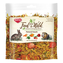 Kaytee Food From the Wild Natural Snack Rabbit and Guinea Pig 1ea/1oz.