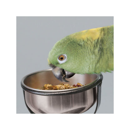 Kaytee Food from the Wild Natural Snack Med/Lrg Pet Bird 1ea/3oz.