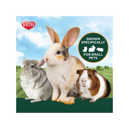 Kaytee Hearty Hay 1ea/48oz.