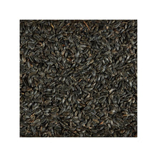 Kaytee Black Oil Sunflower Food 1ea/20 lb