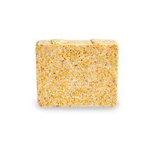 Kaytee Suet & Seed, High Energy Suet Cake Economy Size 1ea/3.5 lb
