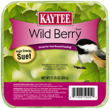 Kaytee Wild Berry High Energy Mini Suet 1ea/11.75 oz