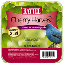 Kaytee Cherry Harvest Suet 11.75oz