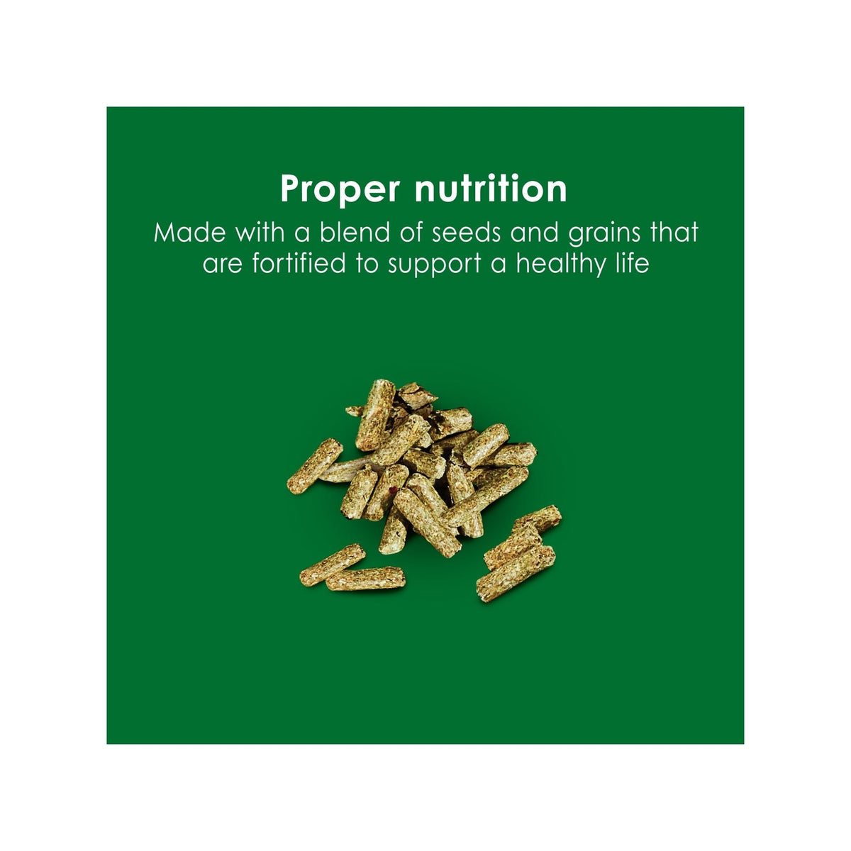 Kaytee Forti Diet Rabbit Food 1ea/5 lb