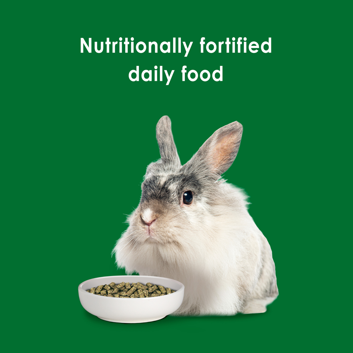 Kaytee Forti Diet Rabbit Food 1ea/5 lb