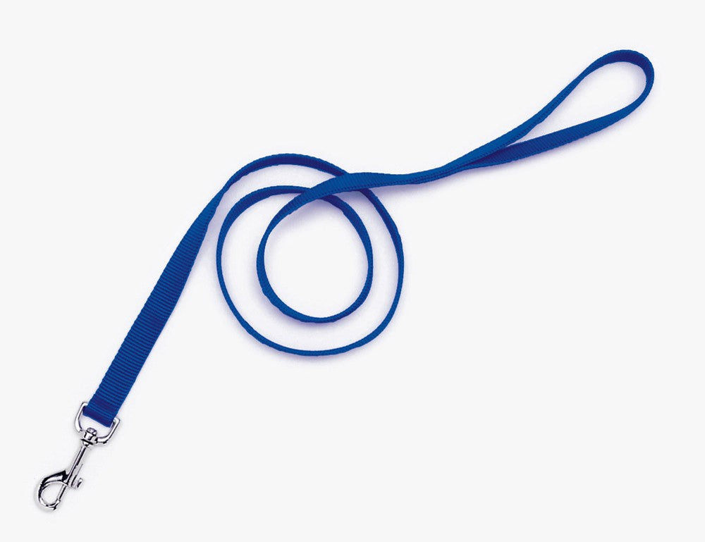 Coastal Single-Ply Nylon Leash Blue 1X4ft