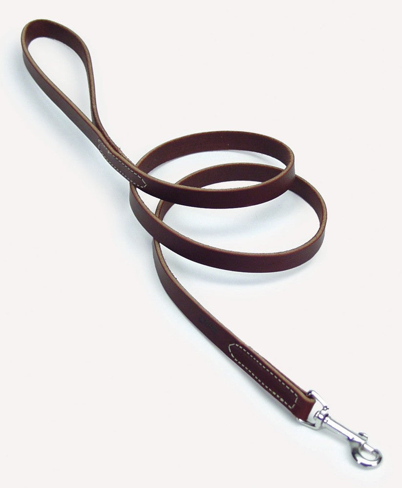 Coastal Circle T Latigo Leather Dog Leash 1X6ft