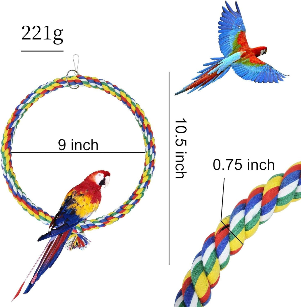 Bird Swing