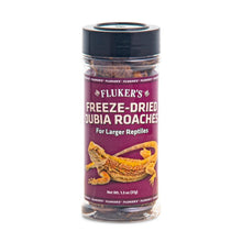Fluker's Freeze-Dried Dubia Roaches 1ea/1.3oz.