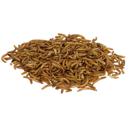 Zilla Reptile Munchies Mealworm Food 3.75oz